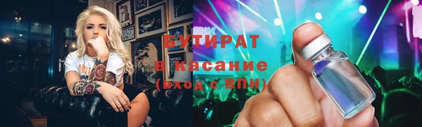 индика Дмитров