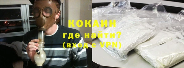 индика Дмитров