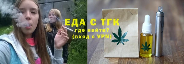 тгк Дмитровск