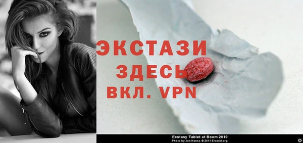 индика Дмитров