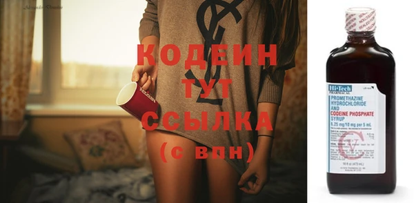 индика Дмитров