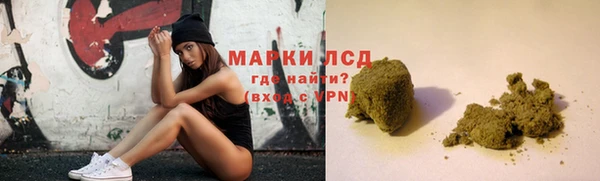 индика Дмитров