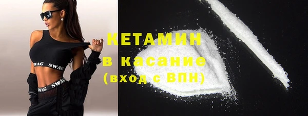 индика Дмитров