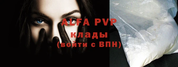 индика Дмитров