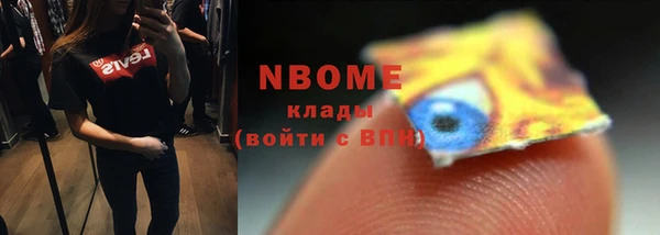 индика Дмитров