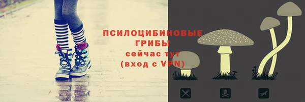 индика Дмитров