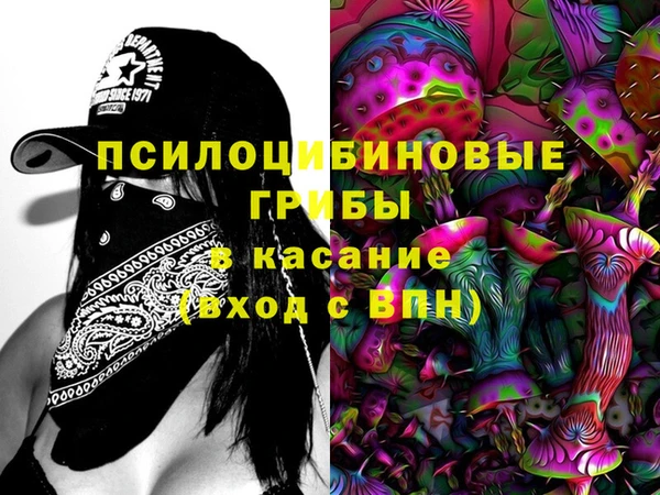 тгк Дмитровск