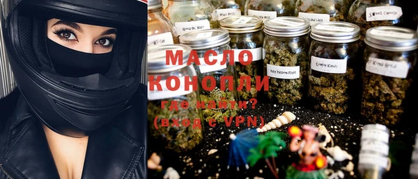 индика Дмитров