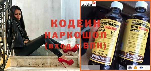 индика Дмитров