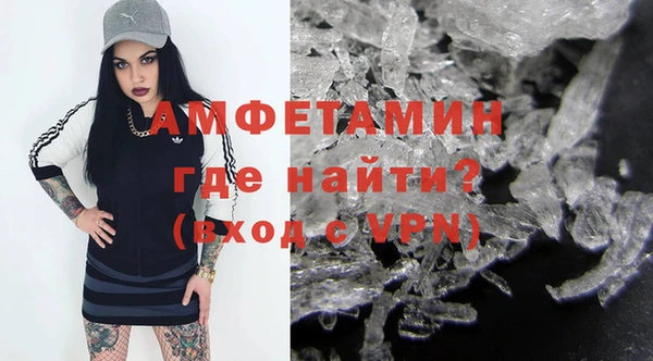 индика Дмитров