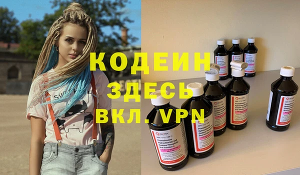 индика Дмитров