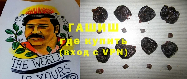 индика Дмитров