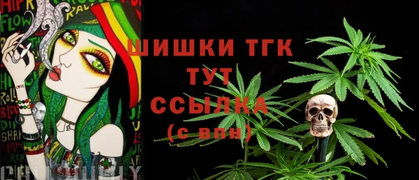 тгк Дмитровск