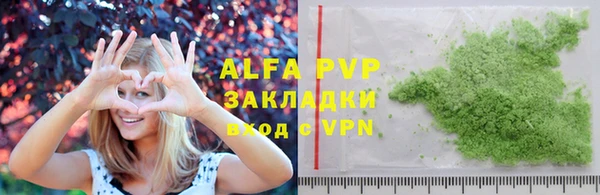 индика Дмитров