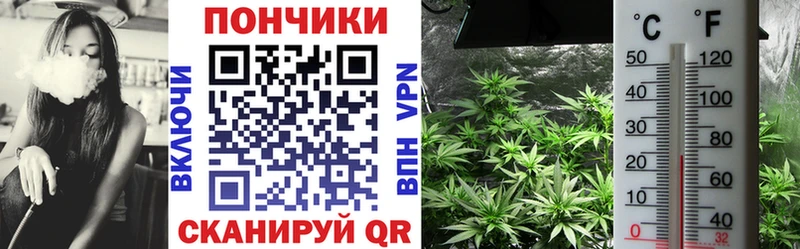 Конопля индика  Купить закладки  Исилькуль 